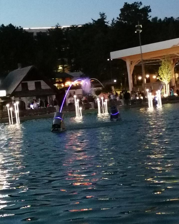 Standardna soba  Hotell Zlatibor Exteriör bild